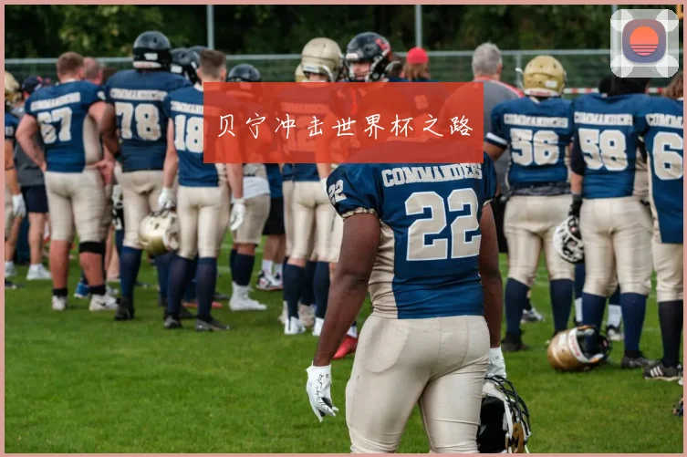 贝宁冲击世界杯之路