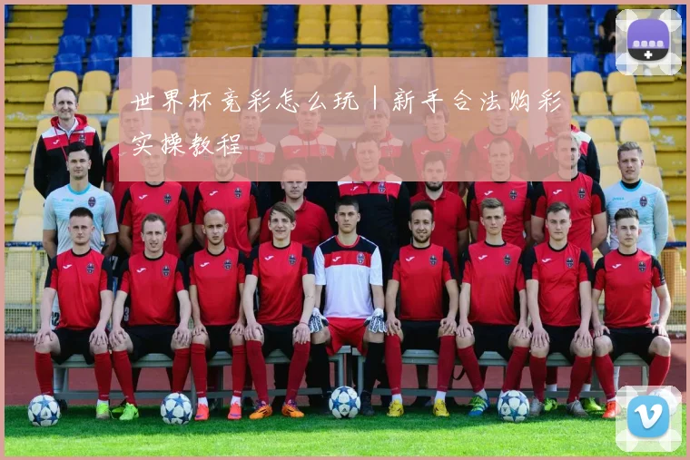 世界杯竞彩怎么玩｜新手合法购彩实操教程