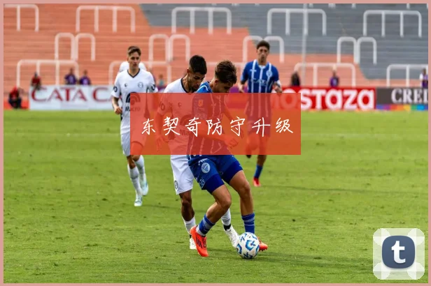 东契奇防守升级