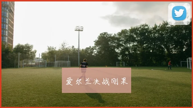 爱尔兰决战刚果