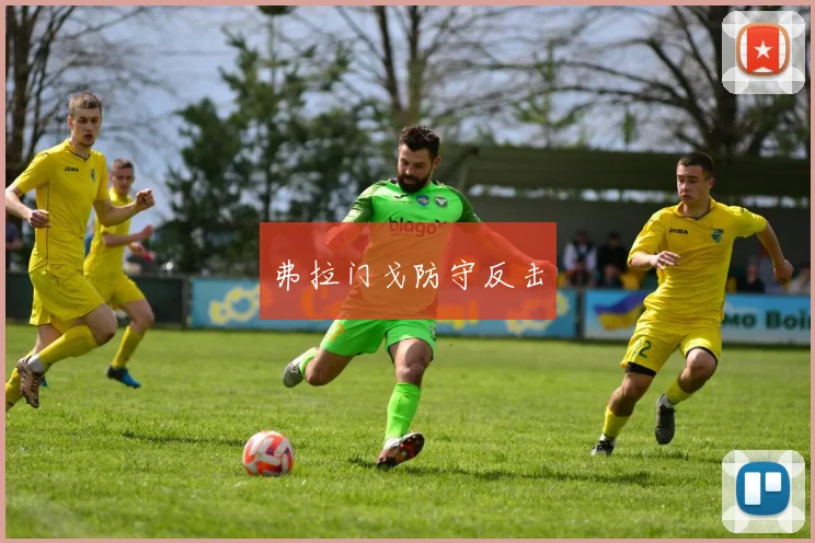 弗拉门戈防守反击