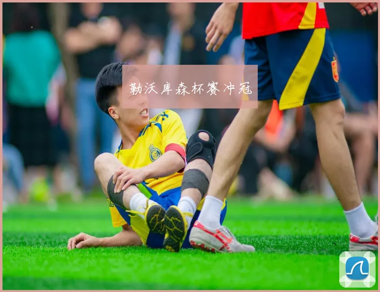 勒沃库森杯赛冲冠