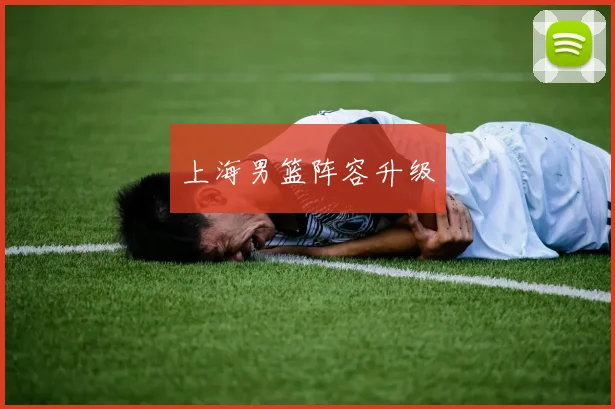上海男篮阵容升级