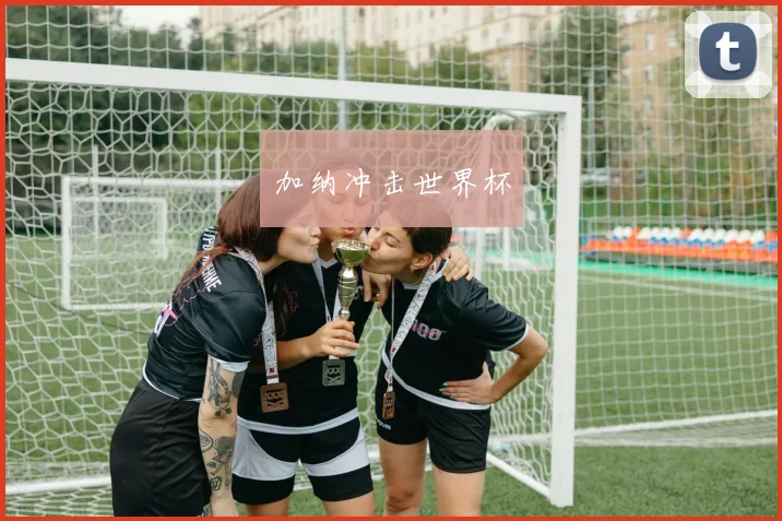 加纳冲击世界杯